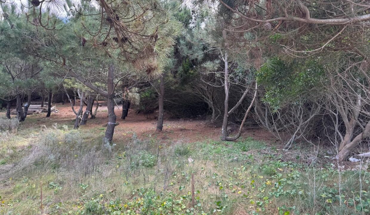 WhatsApp Image 2025-06-09 at 14.19.37 (4)