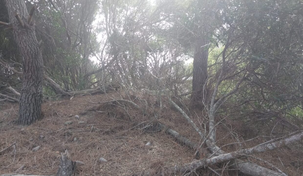 WhatsApp Image 2025-09-25 at 11.23.41 (1)