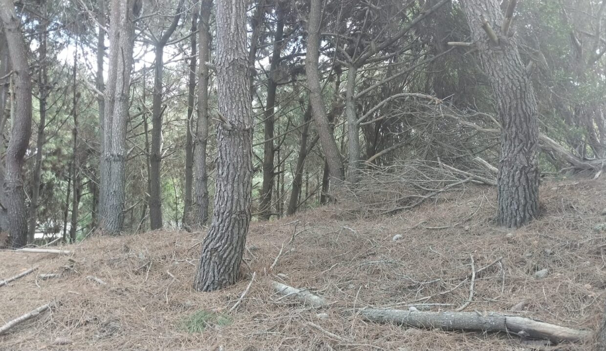 WhatsApp Image 2025-09-25 at 11.23.41