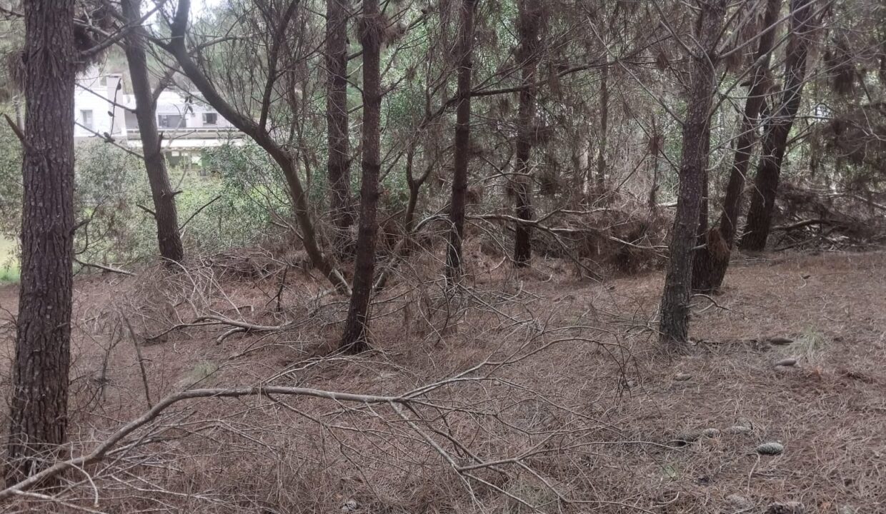 WhatsApp Image 2025-09-25 at 11.23.43