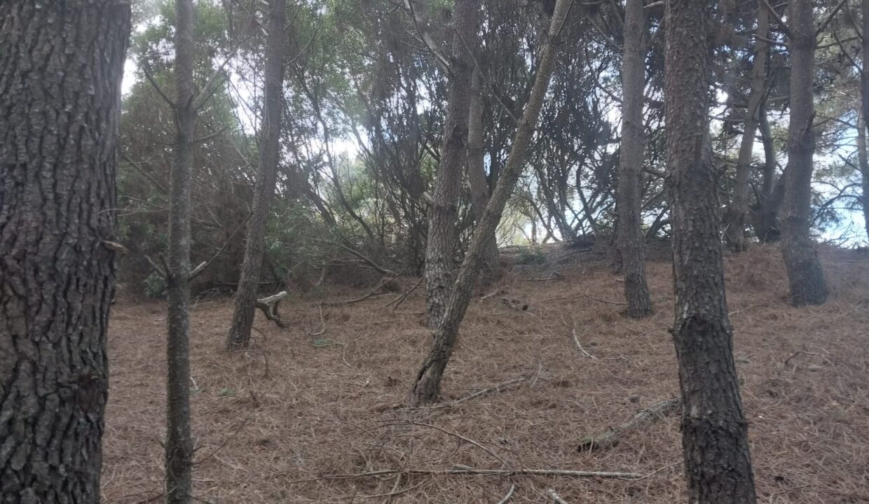 WhatsApp Image 2025-09-25 at 11.23.44