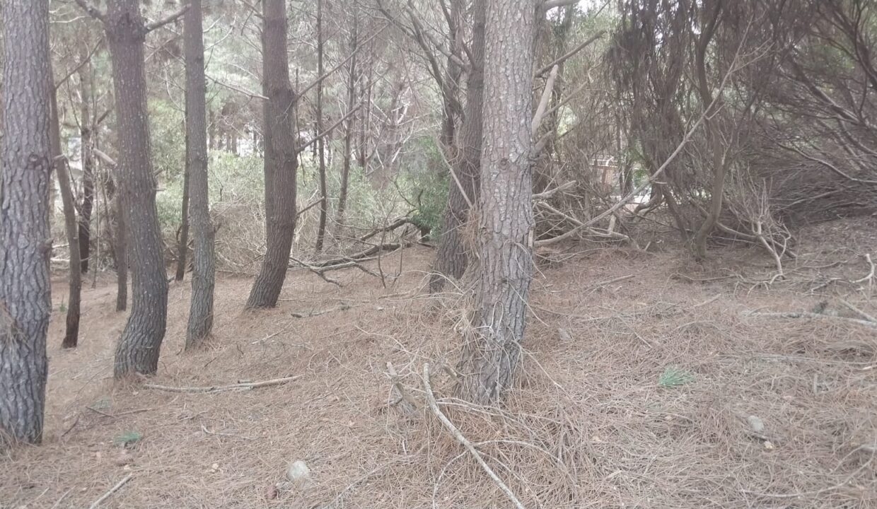 WhatsApp Image 2025-09-25 at 11.23.45 (1)