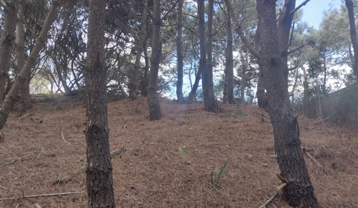 WhatsApp Image 2025-09-25 at 11.23.45