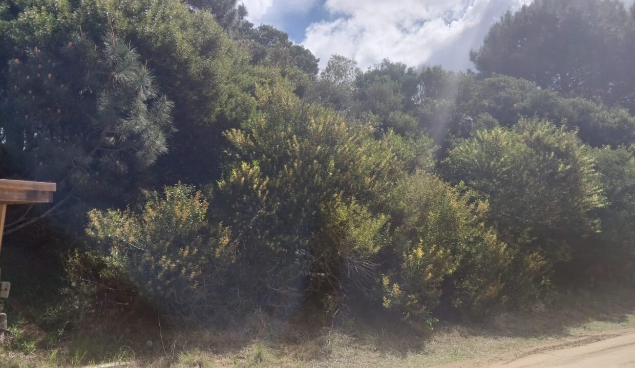 WhatsApp Image 2025-09-25 at 11.23.47 (1)