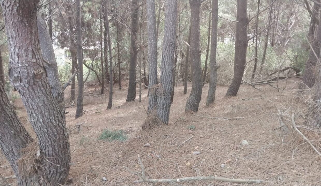 WhatsApp Image 2025-09-25 at 11.23.47