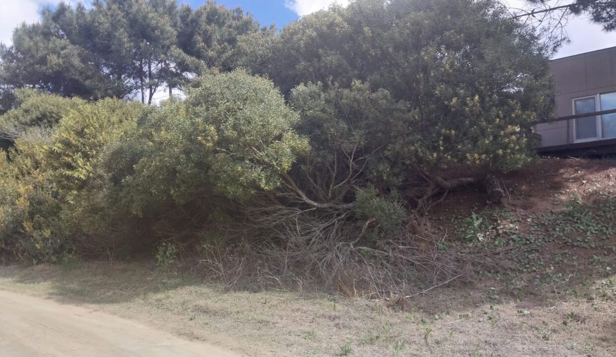 WhatsApp Image 2025-09-25 at 11.23.47 (2)