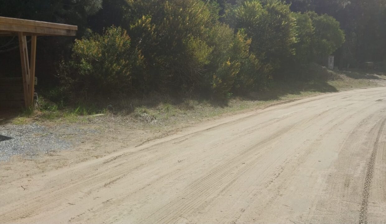 WhatsApp Image 2025-09-25 at 11.23.48