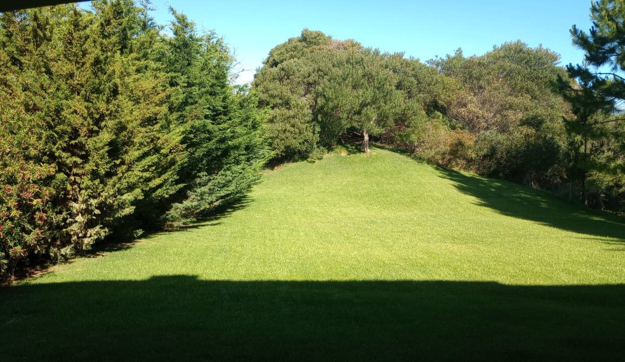 WhatsApp Image 2024-12-12 at 12.38.03 (2)